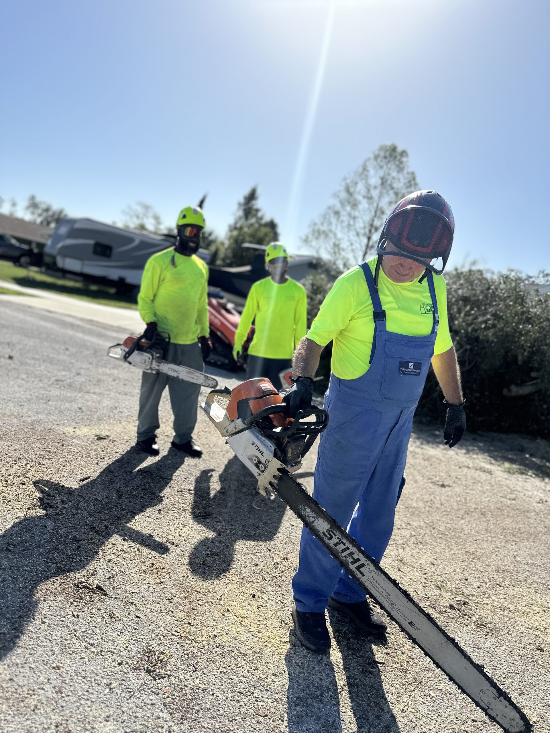 IMG_3175 Tree Services in @fname@