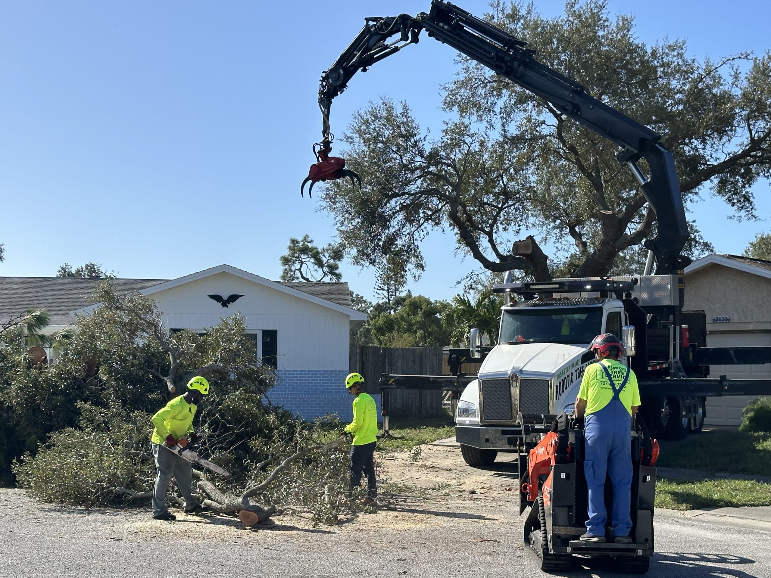 Storm Damage Tree Cleanup in @fname@