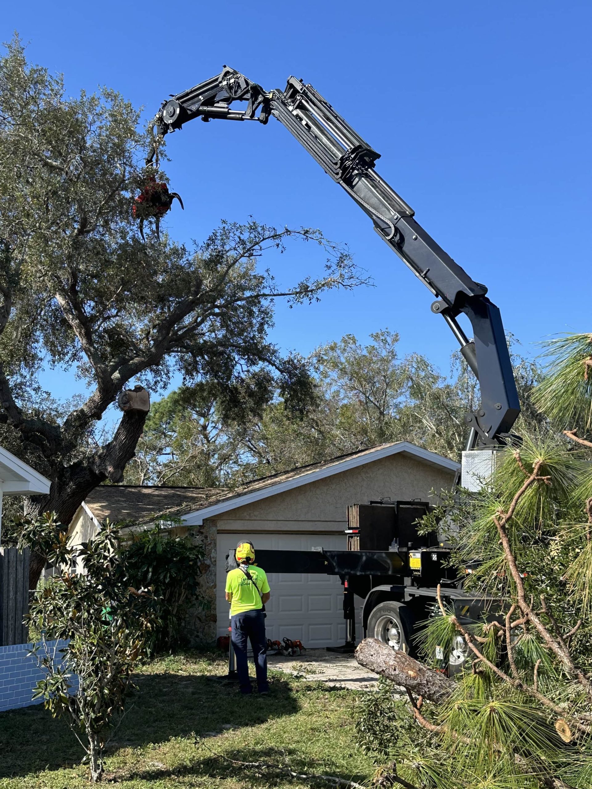 Crane Tree Service 