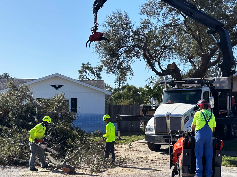 Stump Removal in @fname@