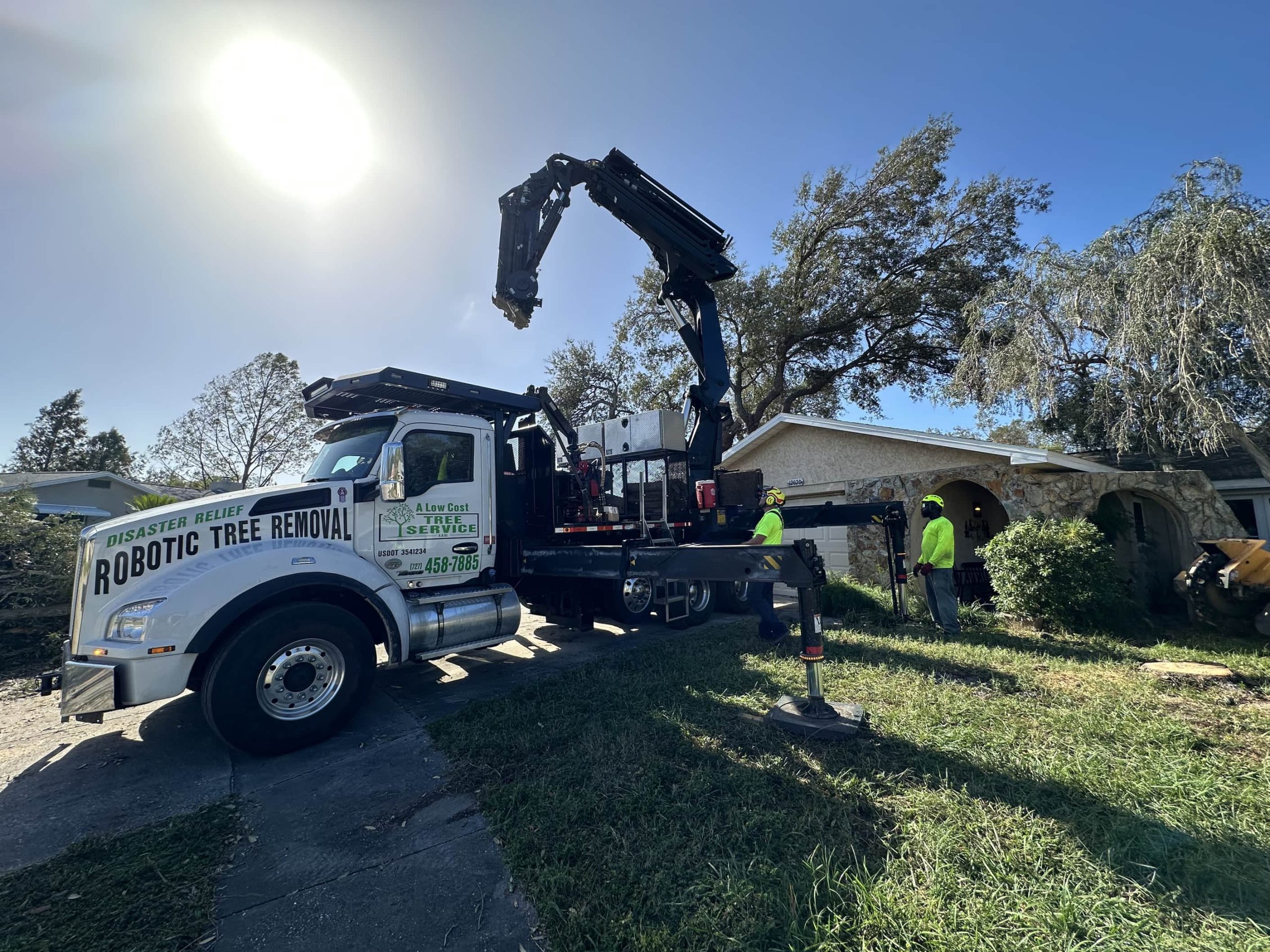 Tree Removal in @fname@