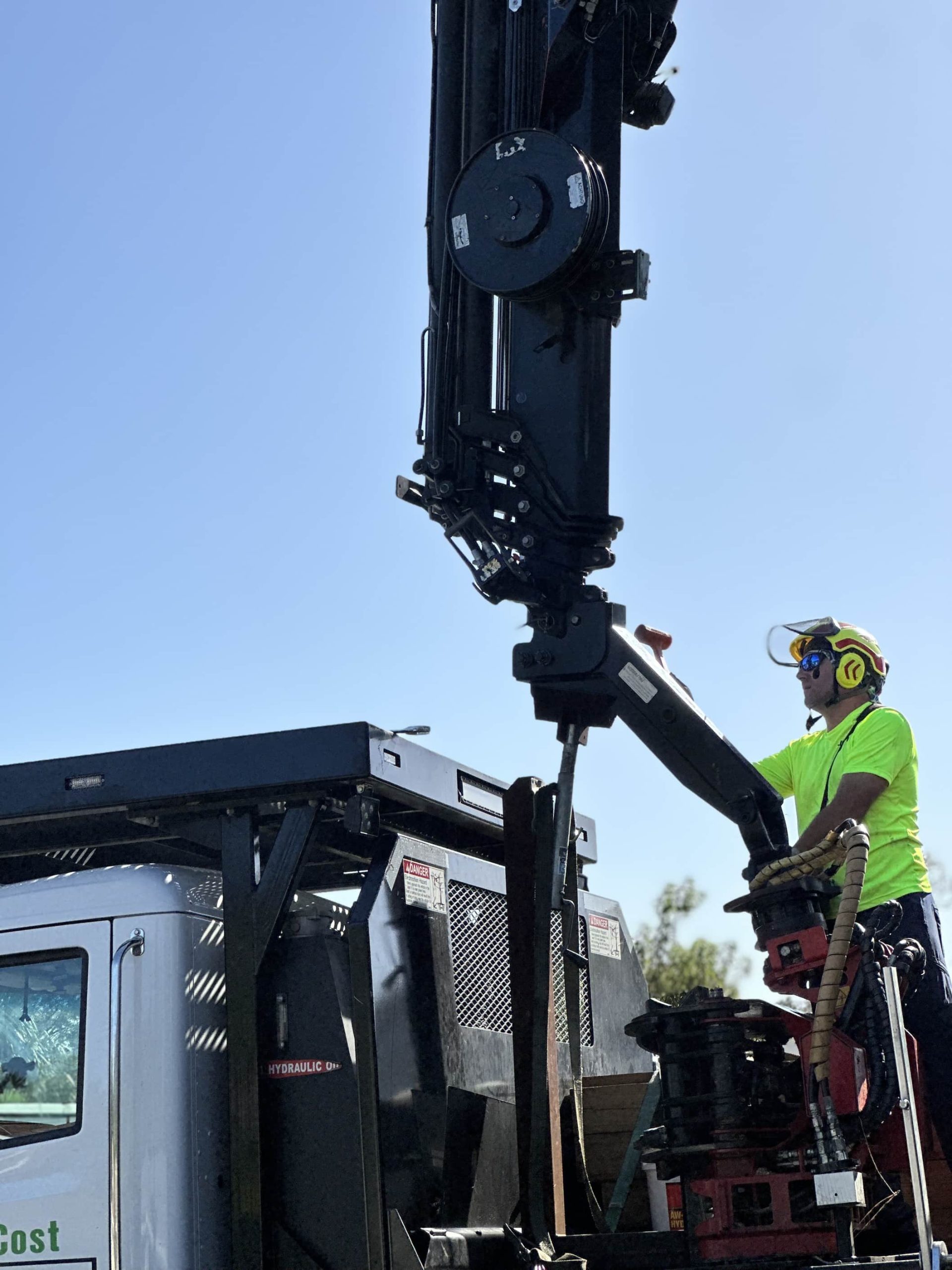 Tree service by crane