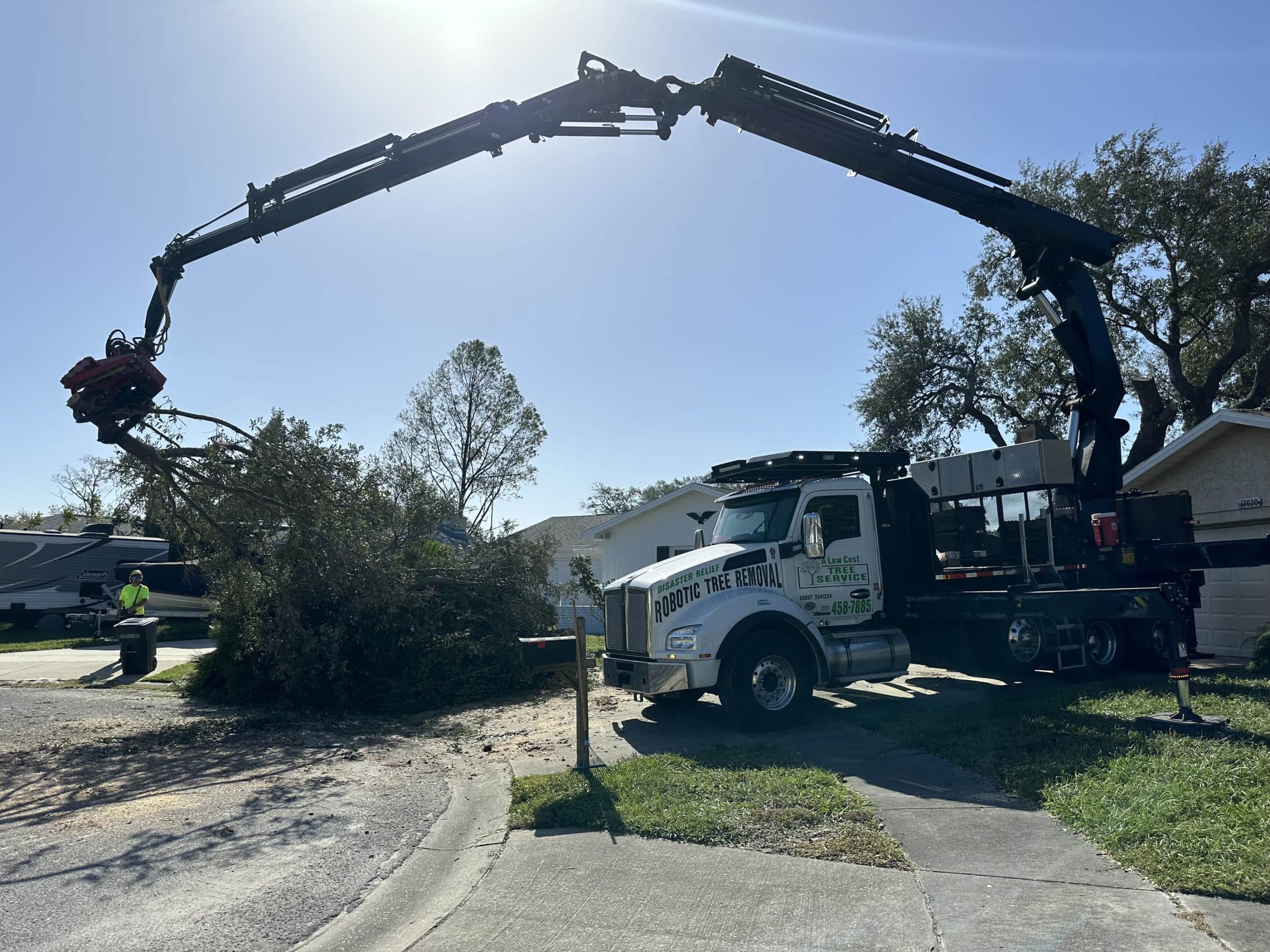 Tree Removal Service in @fname@