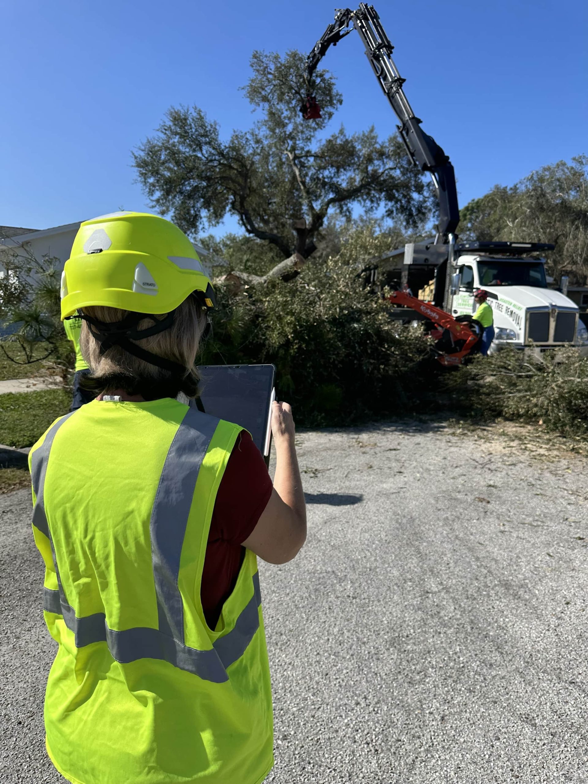 @fname@ Tree Removal Service
